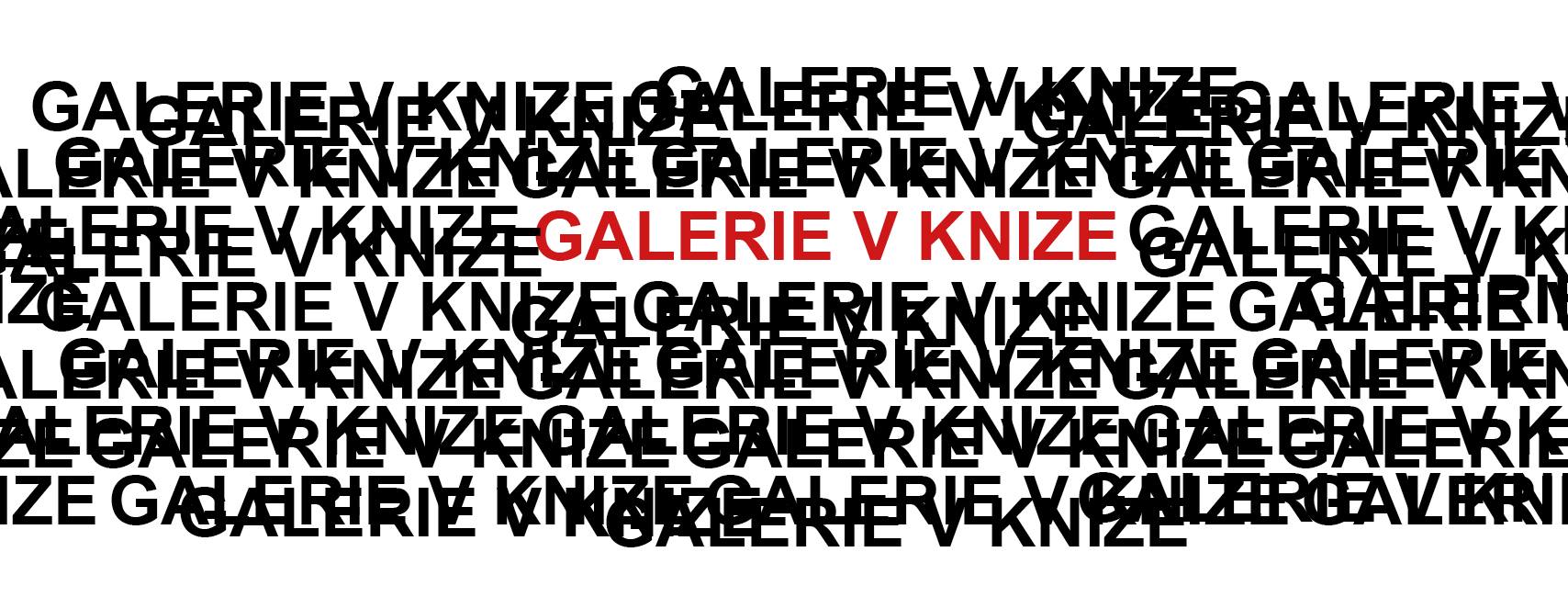 Galerie v knize